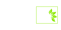 شبکه کسب و کار پربرگ | بانک اطلاعات مشاغل استان زنجان | بانک اطلاعات مشاغل زنجان